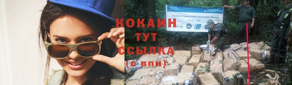 spice Алексин