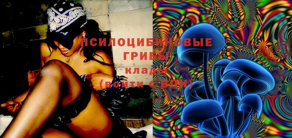 spice Алексин