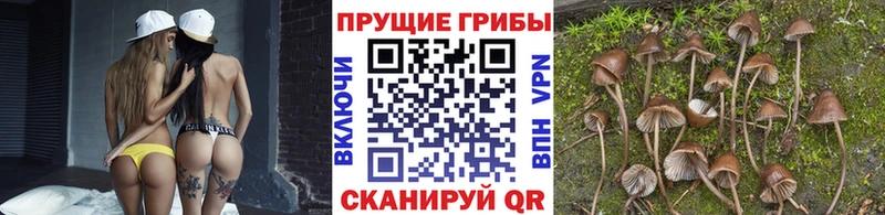Псилоцибиновые грибы ЛСД  Унеча 